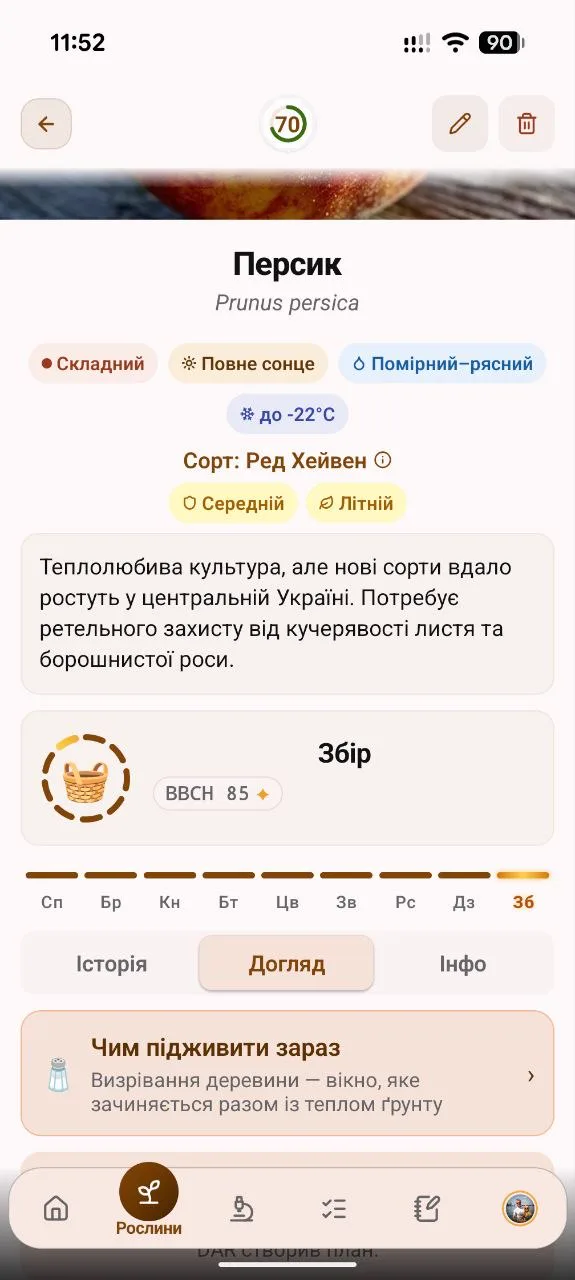 Картка рослини Персик у DAR Garden, вкладка «Догляд»: кнопка «Чим підживити зараз» із підзаголовком «Визрівання деревини — вікно, яке зачиняється разом із теплом ґрунту»
