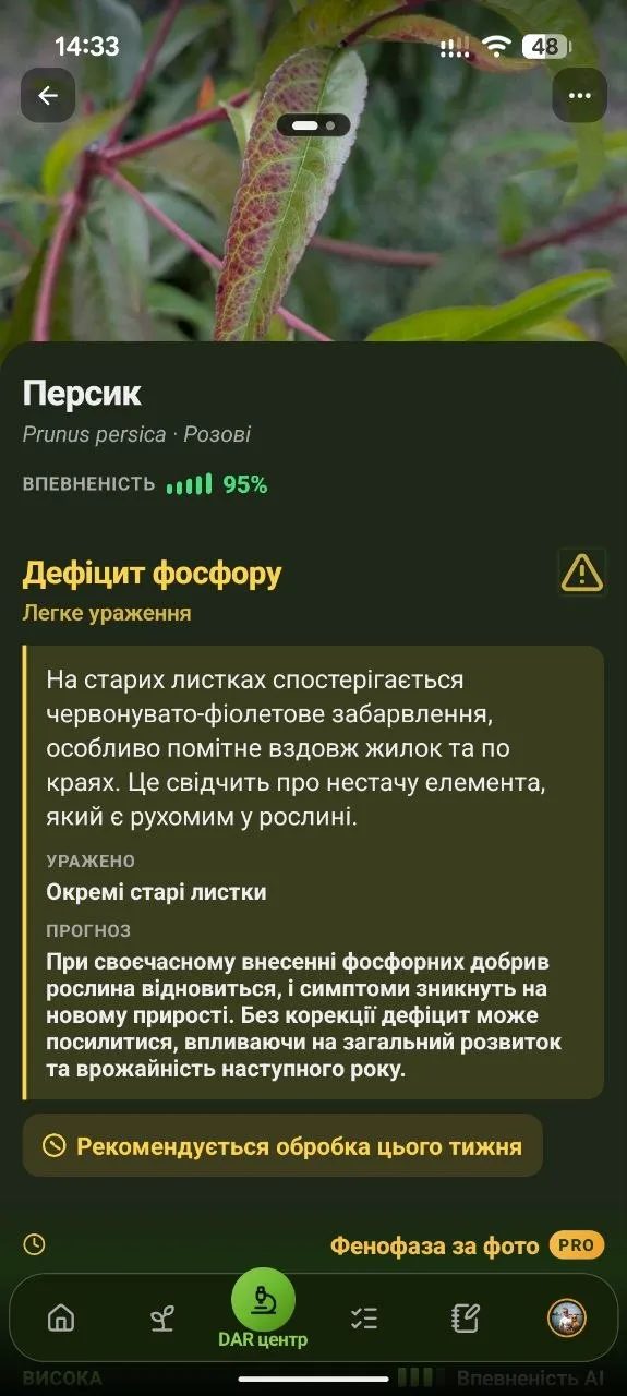 Екран результату AI-діагностики: індикатор двох фото над знімком листка персика, діагноз «дефіцит фосфору», впевненість 95%
